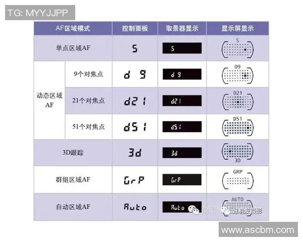 足球比赛规则详解让你轻松掌握比赛中的每一个细节与技巧 足球比赛规则详解让你轻松掌握比赛中的每一个细节与技巧