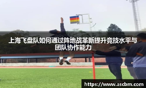 上海飞盘队如何通过阵地战革新提升竞技水平与团队协作能力