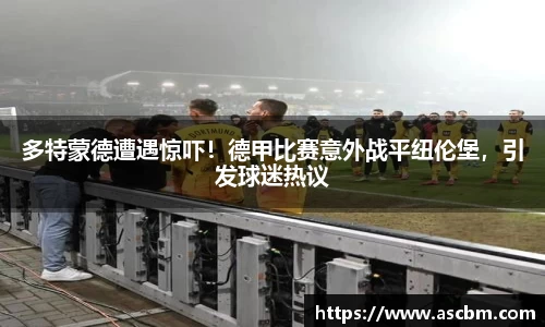 熊猫体育官网